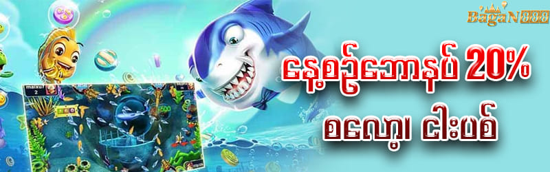 စလော့ ငါးပစ် 20%